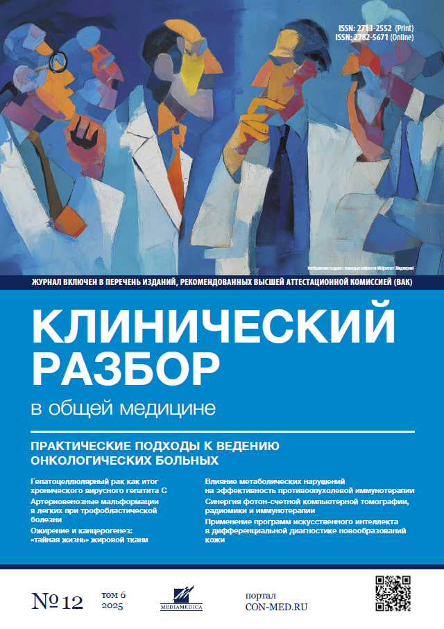 Том 6, №12 (2025)